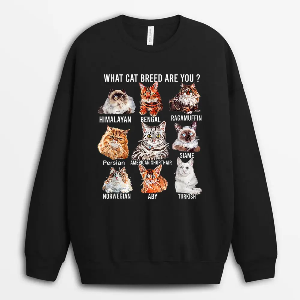 Funny Cat Lover Personality Est Cat Breed Cute Cats Breeds Sweatshirt