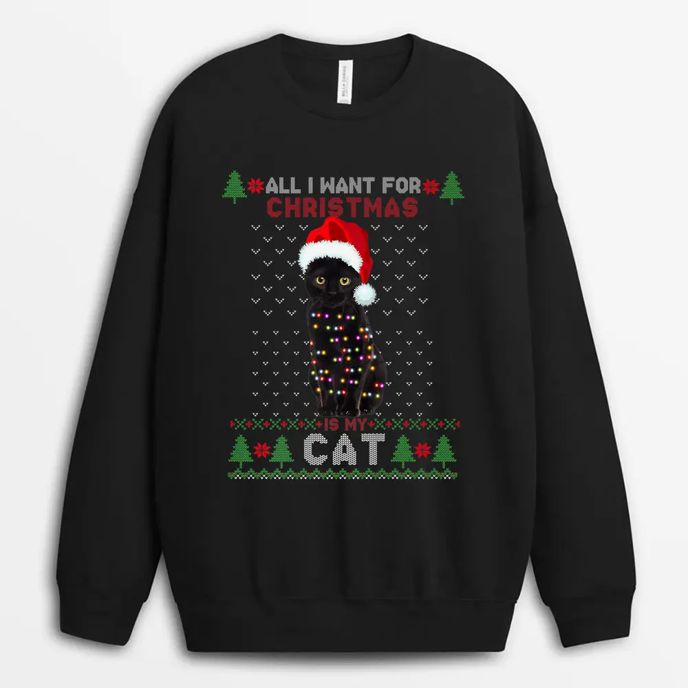 Funny Cat Lovers Cute Cat Santa Hat Ugly Christmas Sweater Premium Sweatshirt